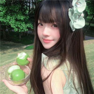 蜂蜜与四叶草第一季