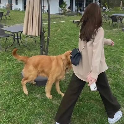 古尔德的32个短片